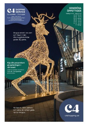 norraskane-20201223_000_00_00_007.pdf