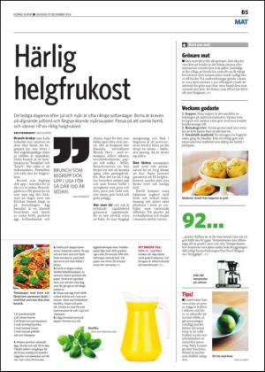 norraskane_b-20141231_000_00_00_005.pdf