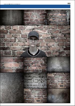 norraskane_b-20171125_000_00_00_013.pdf