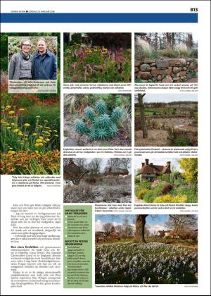 norraskane_b-20180120_000_00_00_013.pdf