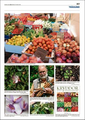 norraskane_b-20180331_000_00_00_017.pdf