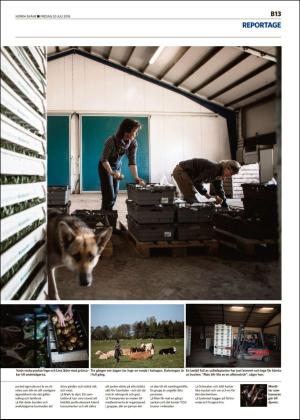 norraskane_b-20180720_000_00_00_013.pdf