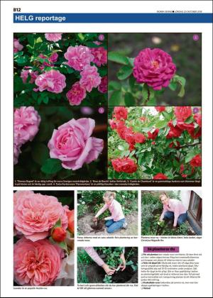 norraskane_b-20181020_000_00_00_012.pdf