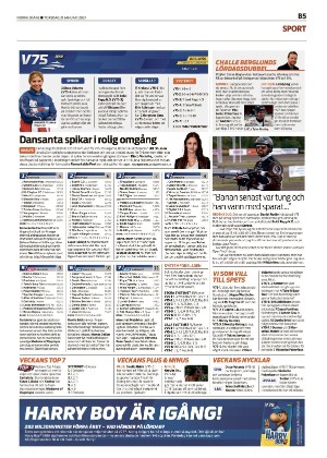 norraskane_b-20210121_000_00_00_005.pdf