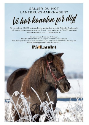 norraskane_b-20210121_000_00_00_011.pdf