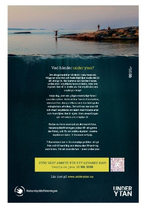 norraskane_b-20210125_000_00_00_007.pdf