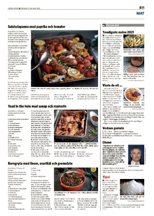 norraskane_b-20210127_000_00_00_011.pdf