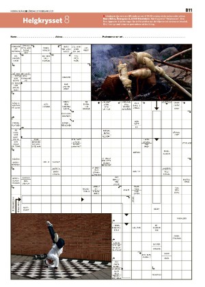 norraskane_b-20210227_000_00_00_011.pdf