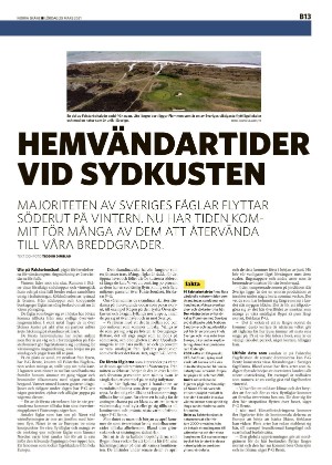 norraskane_b-20210320_000_00_00_013.pdf