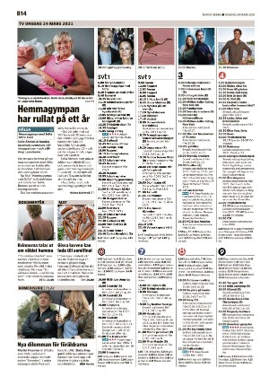 norraskane_b-20210324_000_00_00_014.pdf