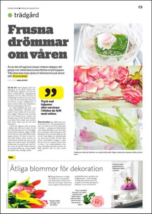 norraskane_c-20140118_000_00_00_005.pdf