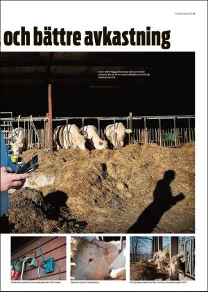 norraskane_c-20190313_000_00_00_005.pdf