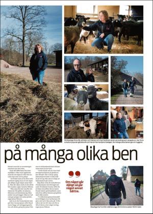 norraskane_c-20190313_000_00_00_015.pdf