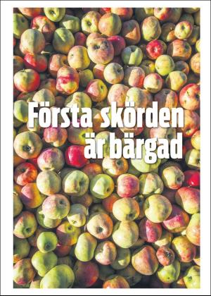 norraskane_c-20201014_000_00_00_004.pdf