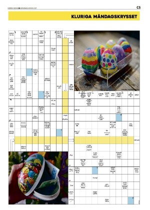 norraskane_c-20210308_000_00_00_005.pdf