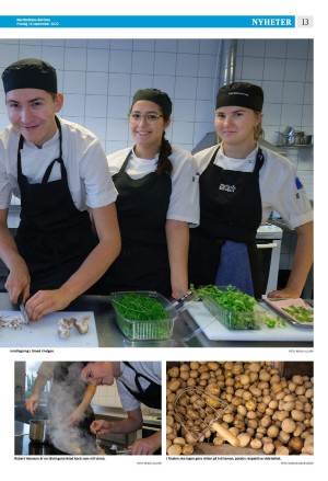 norrbottenskuriren-20220916_000_00_00_013.pdf
