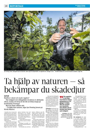 norrkopingstidningar-20220704_000_00_00_020.pdf