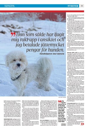 norrkopingstidningar-20230225_000_00_00_009.pdf