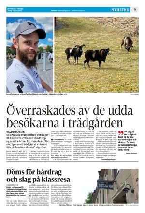 norrkopingstidningar-20230328_000_00_00_009.pdf