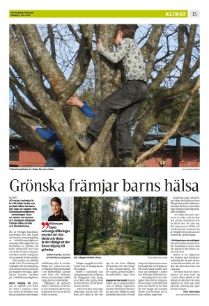 norrkopingstidningar-20240603_000_00_00_015.pdf