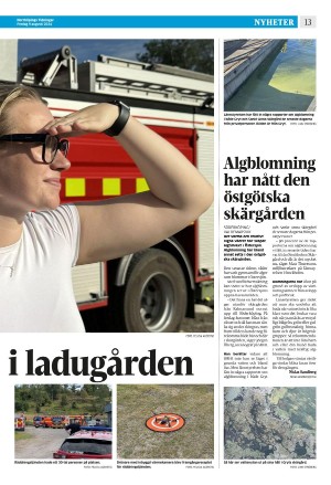norrkopingstidningar-20240809_000_00_00_013.pdf