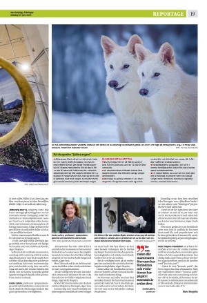 norrkopingstidningar-20250616_000_00_00_019.pdf