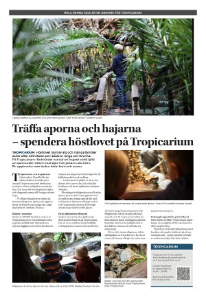 norrkopingstidningar-20251018_000_00_00_003.pdf