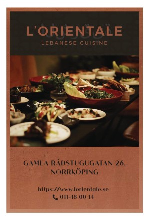 norrkopingstidningar-20251124_000_00_00_015.pdf