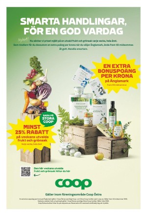 norrkopingstidningar-20260119_000_00_00_009.pdf