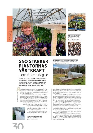 norrkopingstidningar_om-20230413_000_00_00_030.pdf