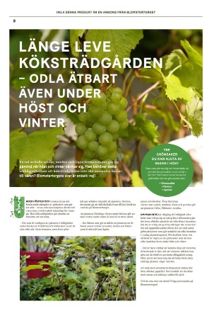 norrkopingstidningar_om-20230902_000_00_00_008.pdf