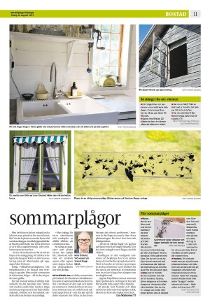 norrkopingstidningar_sek_b-20210810_000_00_00_011.pdf