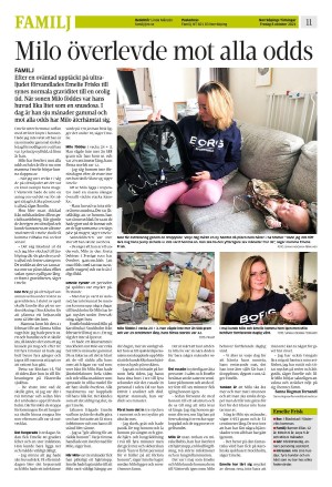 norrkopingstidningar_sek_b-20211008_000_00_00_011.pdf