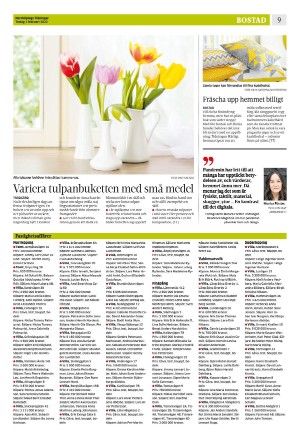 norrkopingstidningar_sek_b-20220201_000_00_00_009.pdf