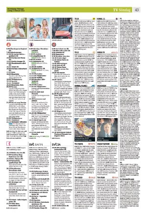 norrkopingstidningar_sek_b-20220212_000_00_00_043.pdf