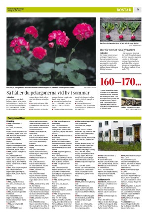 norrkopingstidningar_sek_b-20220628_000_00_00_009.pdf