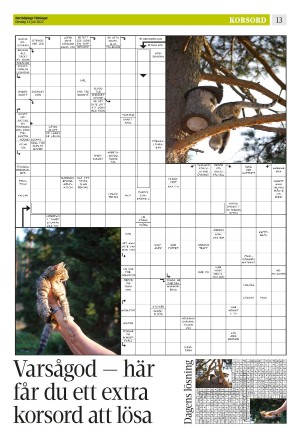 norrkopingstidningar_sek_b-20220713_000_00_00_013.pdf