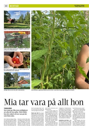 norrkopingstidningar_sek_b-20221004_000_00_00_010.pdf