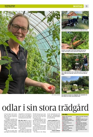 norrkopingstidningar_sek_b-20221004_000_00_00_011.pdf
