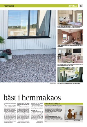 norrkopingstidningar_sek_b-20221011_000_00_00_015.pdf