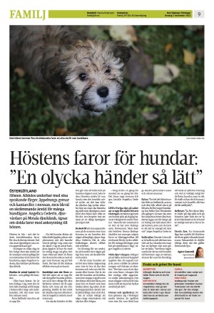 norrkopingstidningar_sek_b-20221102_000_00_00_009.pdf