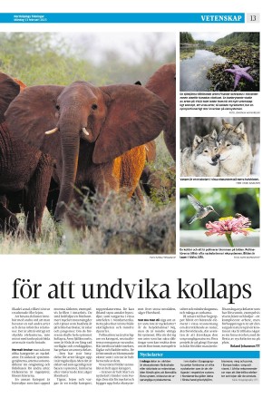 norrkopingstidningar_sek_b-20230213_000_00_00_013.pdf