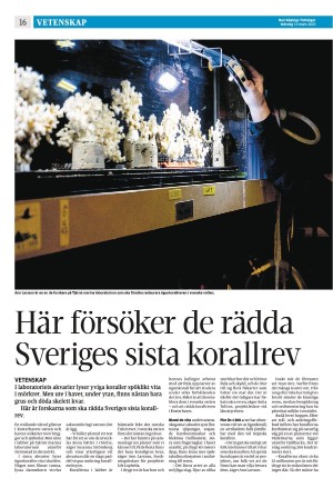 norrkopingstidningar_sek_b-20230313_000_00_00_016.pdf