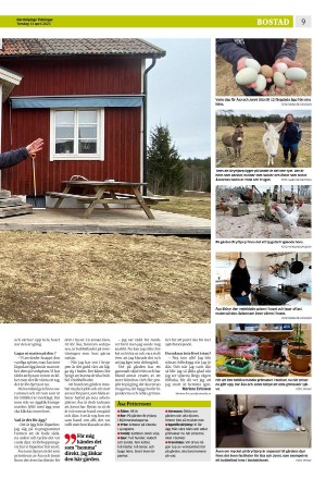 norrkopingstidningar_sek_b-20230413_000_00_00_009.pdf