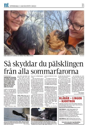 norrkopingstidningar_sek_b-20230802_000_00_00_016.pdf