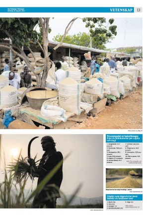 norrkopingstidningar_sek_b-20230828_000_00_00_013.pdf