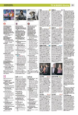 norrkopingstidningar_sek_b-20230828_000_00_00_019.pdf