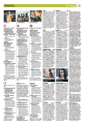 norrkopingstidningar_sek_b-20230902_000_00_00_031.pdf