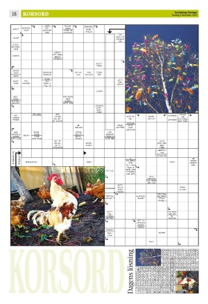 norrkopingstidningar_sek_b-20231109_000_00_00_018.pdf