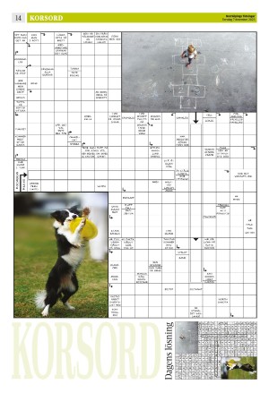 norrkopingstidningar_sek_b-20231207_000_00_00_014.pdf